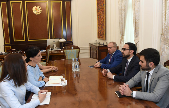 Deputy Prime Minister Tigran Avinyan receives President of Freedom of Information Center of Armenia